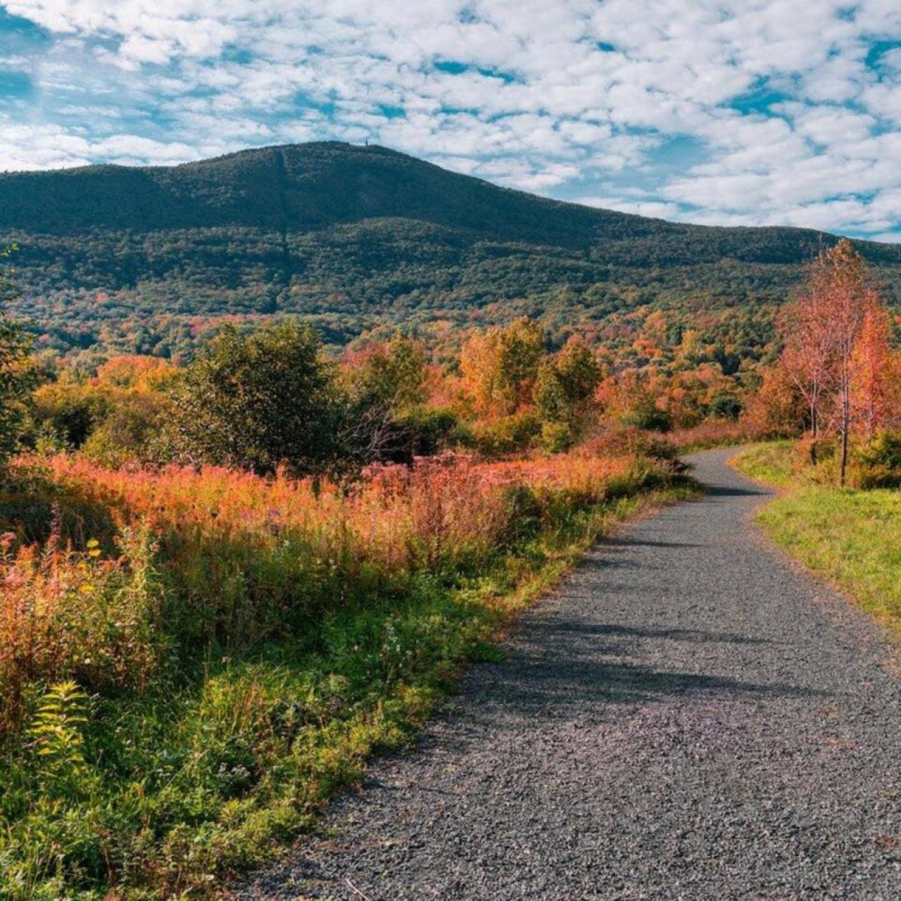 2 Bed Berkshire Getaway Minutes To Jiminy Peak Ski Ханкок Экстерьер фото